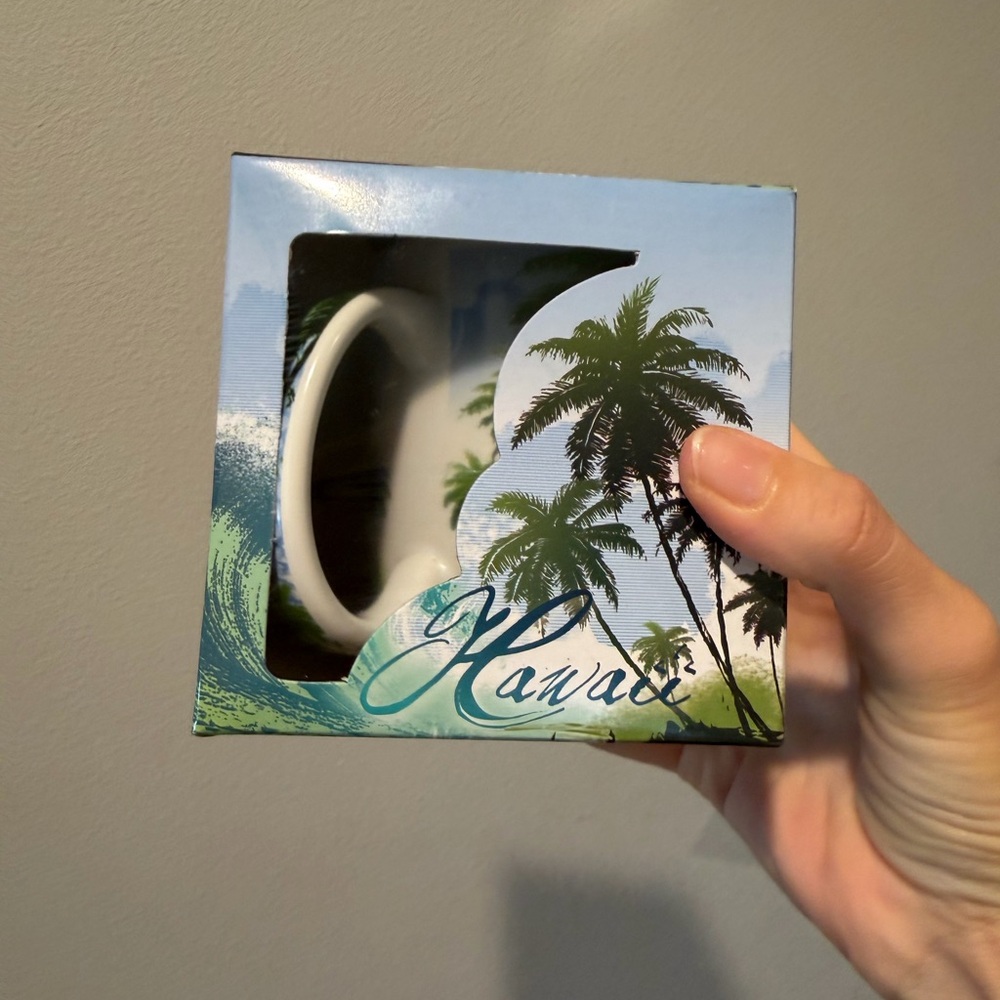 Hawaii Souvenir Mug in Box